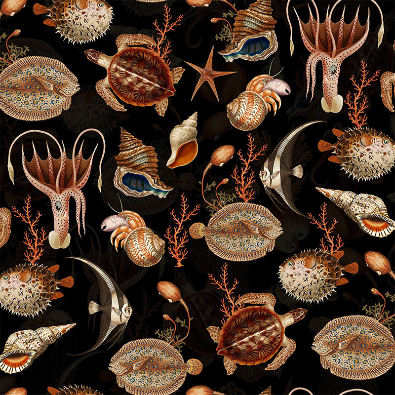 Shells and Sealife – Black Wallpaper