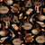 Shells and Sealife – Black Wallpaper
