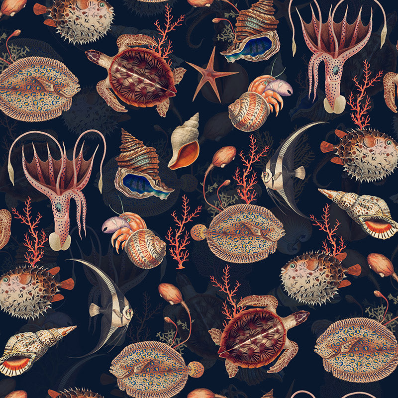 Shells and Sealife – Navy Wallpaper