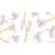 Snowdrop.jpg