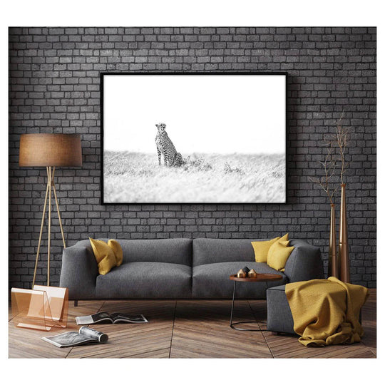 SpottedInThePlains-insitu.jpg
