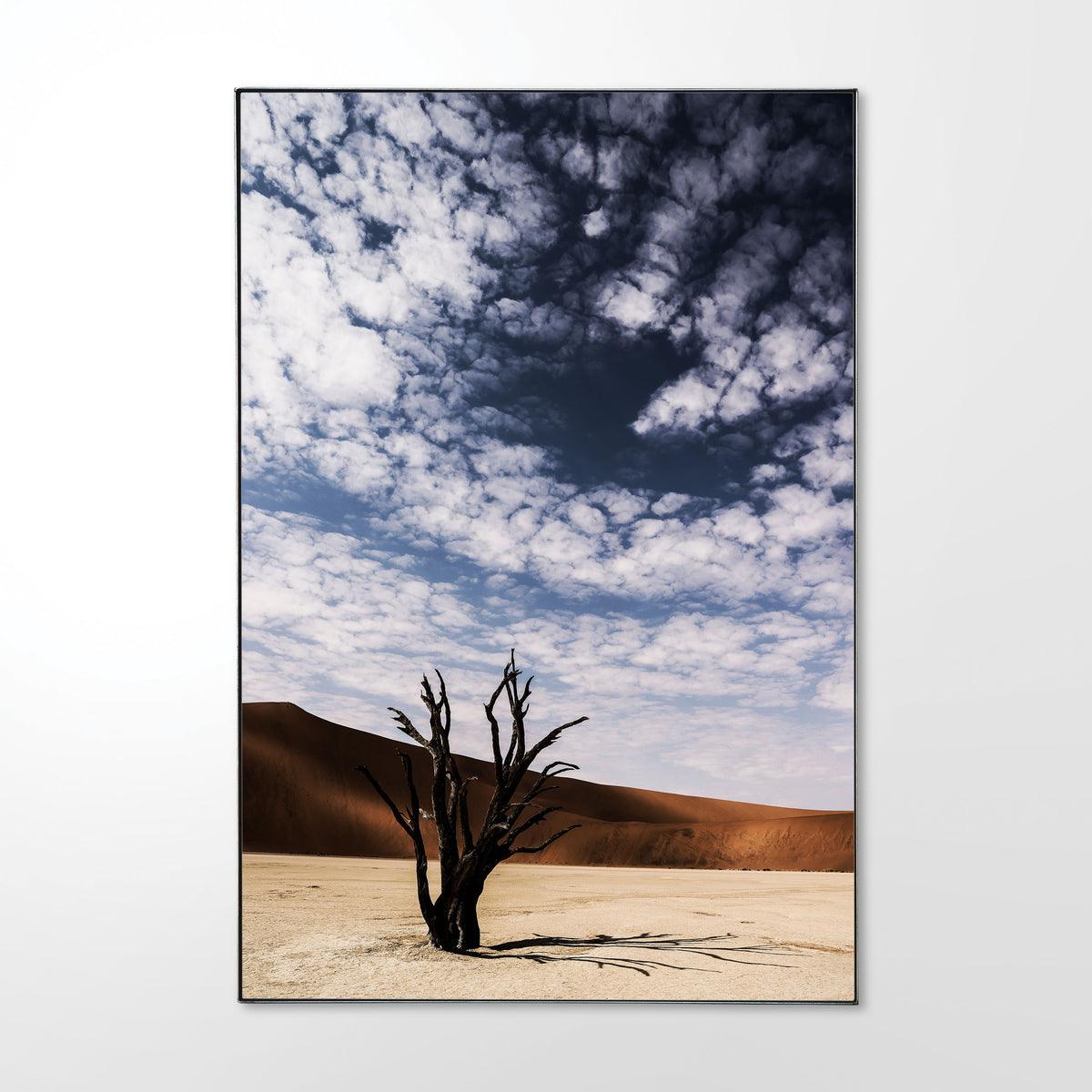 Steel_Shadow_Frame_Deadvlei__1.jpg