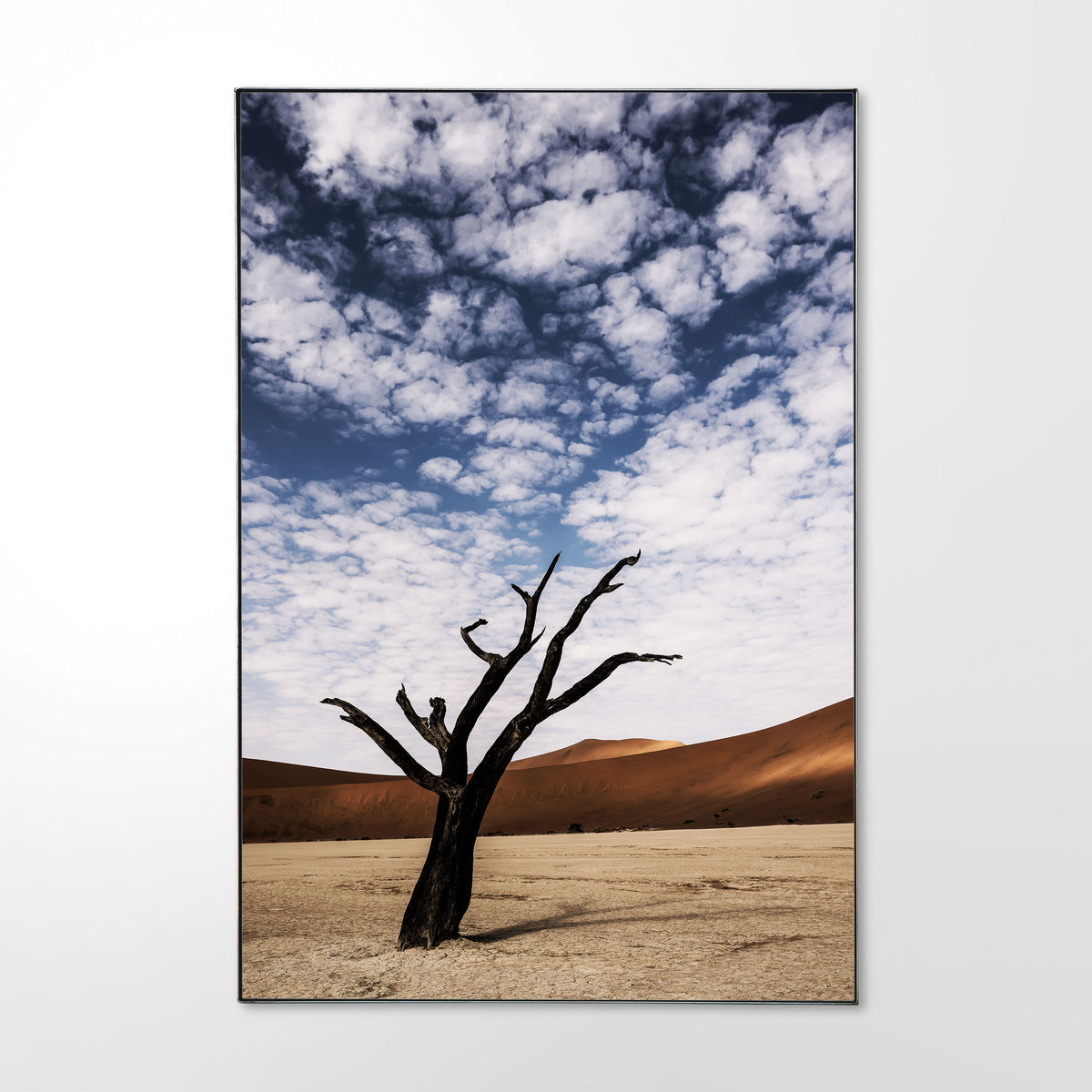 Steel_Shadow_Frame_Deadvlei__2.jpg
