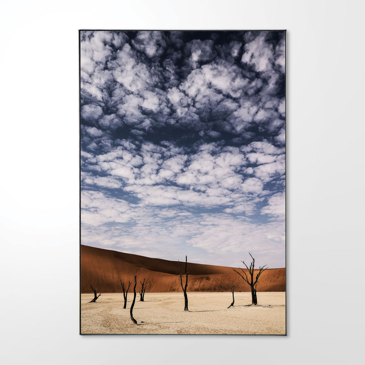 Steel_Shadow_Frame_Deadvlei__3.jpg