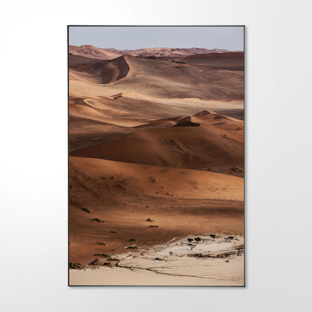 Steel_Shadow_Frame_Sossusvlei__1.jpg