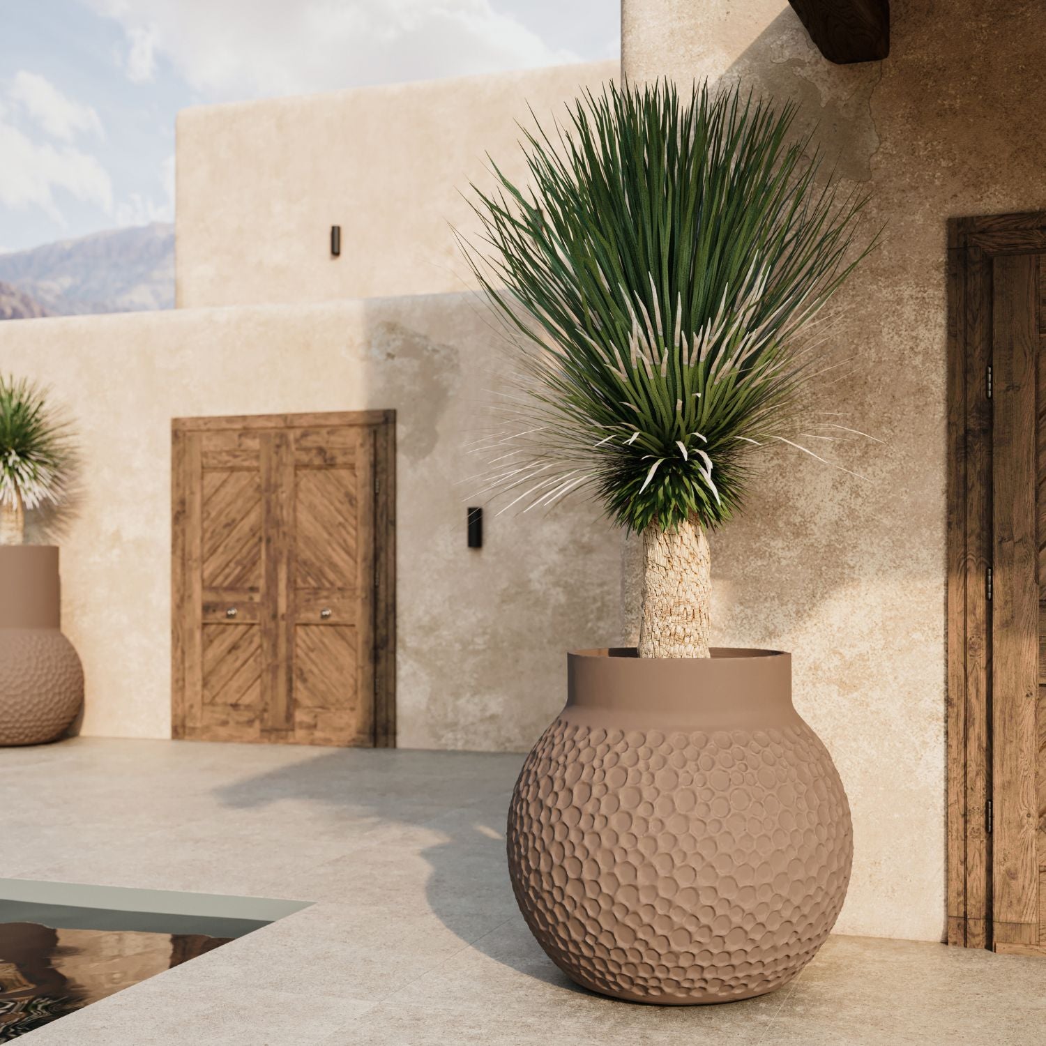 Stellar_planter_6.jpg