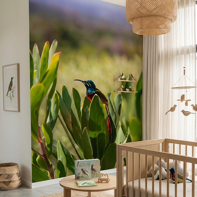 Sunbird Wallpaper