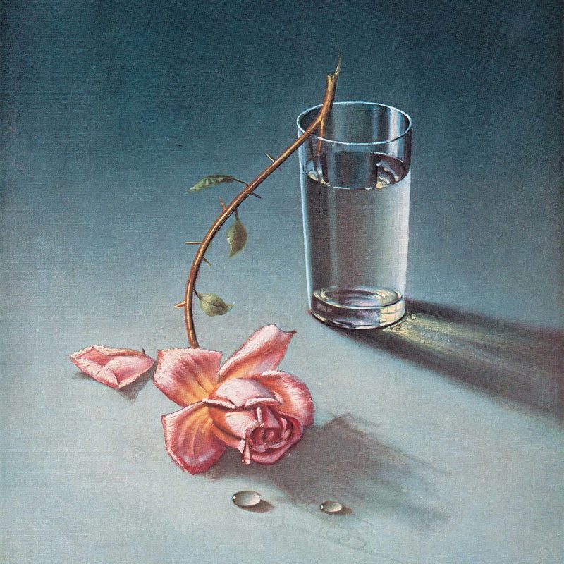 TRE-303-Weeping-Rose-RSW-e1468591512450.jpg