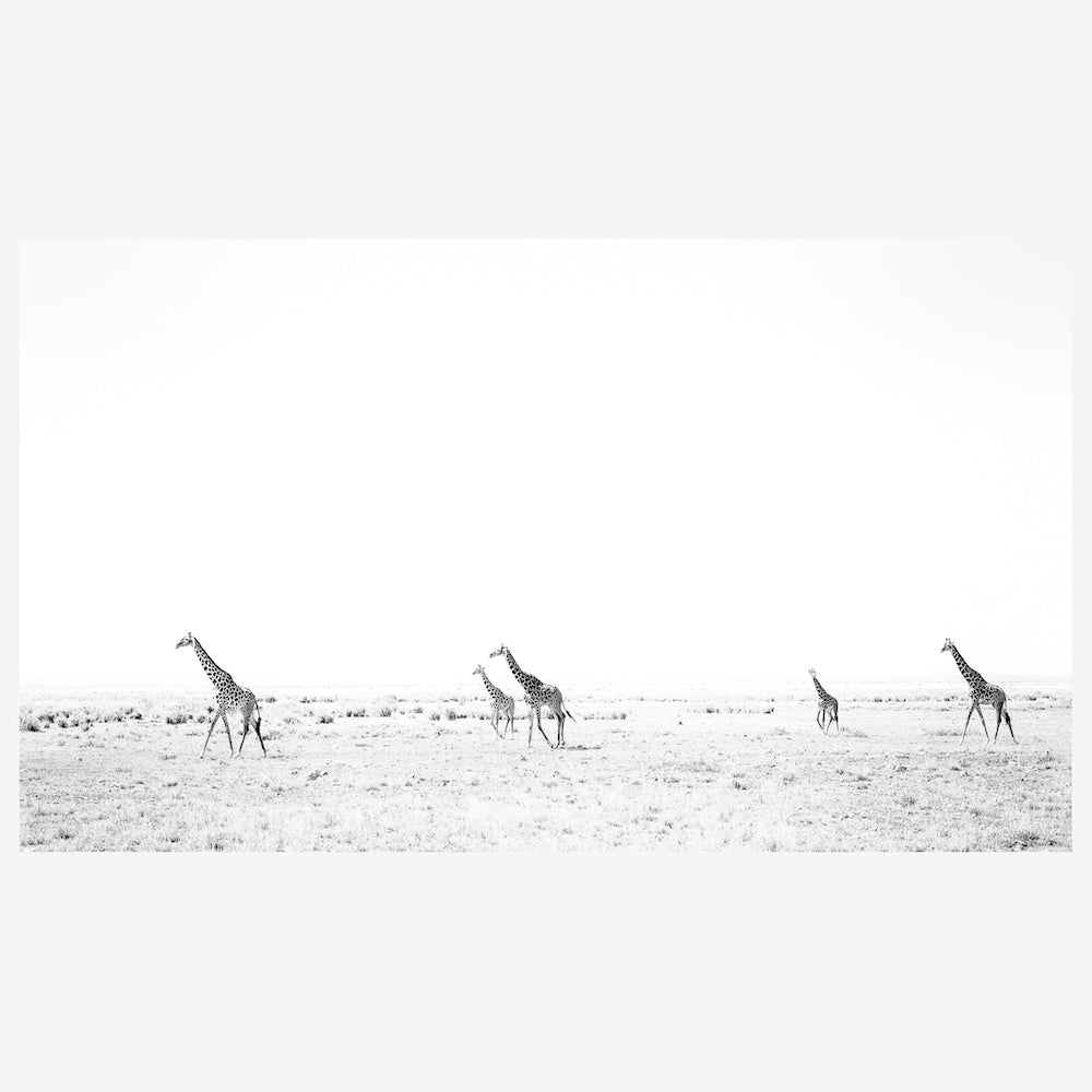 TheJourney-insitu.jpg