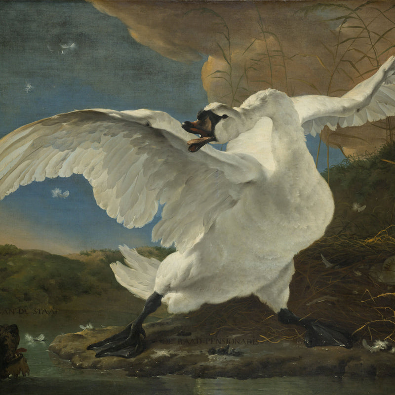 The_threatened_swan.jpg