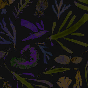 Tidal Bliss Wallpaper
