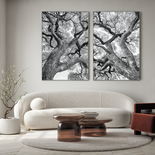TreeWisteria1_2lowres_4a3dafa7-feec-43c6-9cf5-c853d5ad5952.png