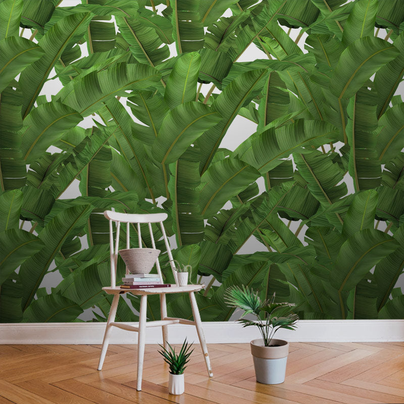 TropicalJungleLeafCostaRicaNew.jpg