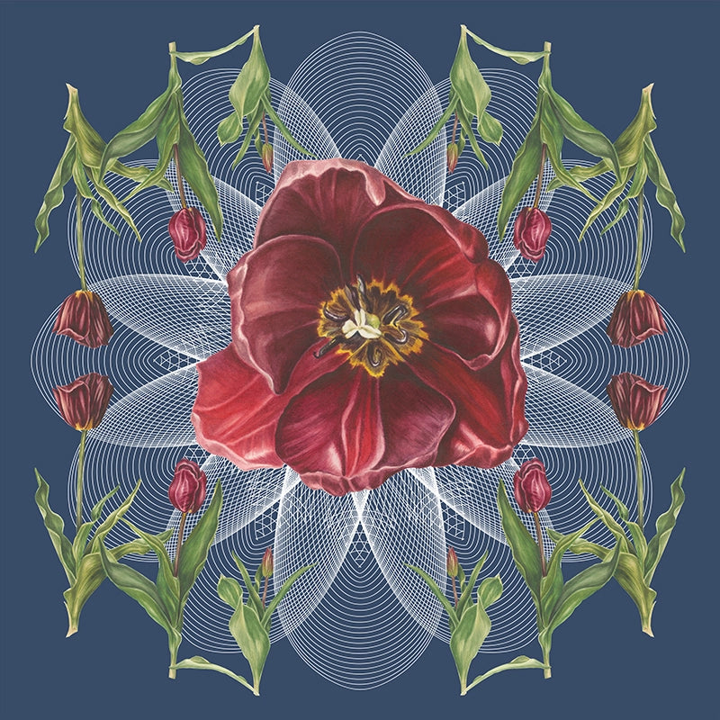 Tulip-Geo-Botanical-Mural-Indigo-by-Adrienne-Kerr-1.webp