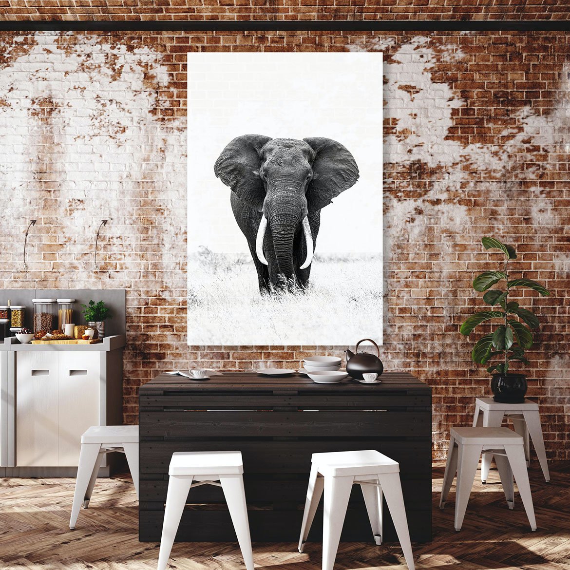 Tusker_bcf6eee9-d5ba-464b-8ebf-a914f339de6a.jpg