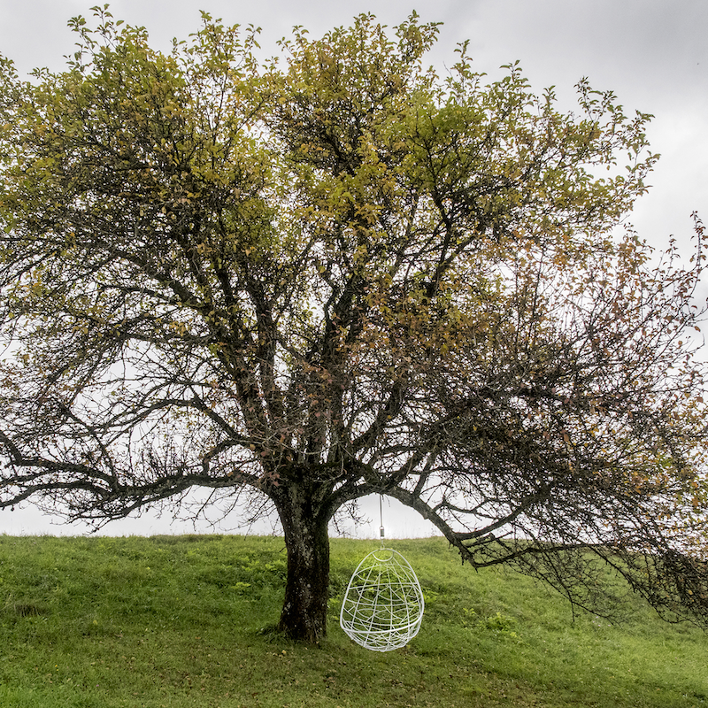 TwigWhiteOutdoorLifestyle.png