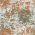 Unbridled Wilderness – Moss and Orange Wallpaper
