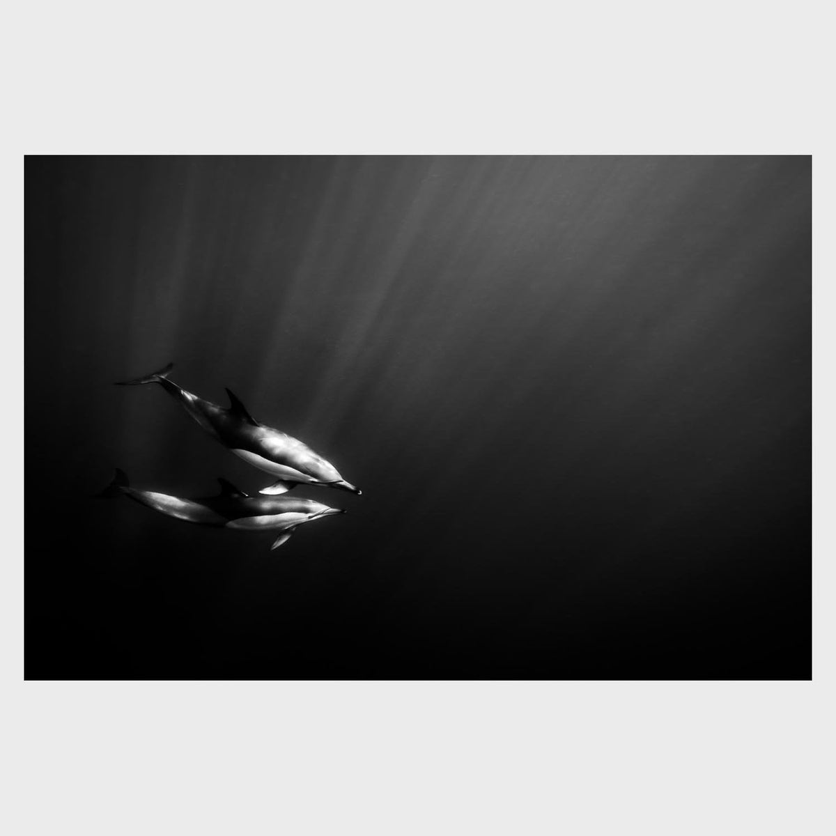 UnderwaterLove_638009f8-a0b5-4c42-b756-0afbdd45702e.jpg