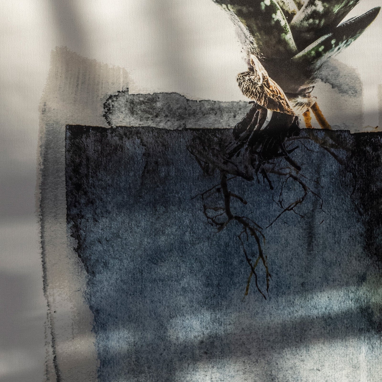 Varigatus detail.jpeg