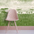 Veld-Olive_1.jpg