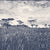 Veld-blue-grey-on-natural-Flat-Image.webp