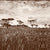 Veld-brown-Flat-Image.webp