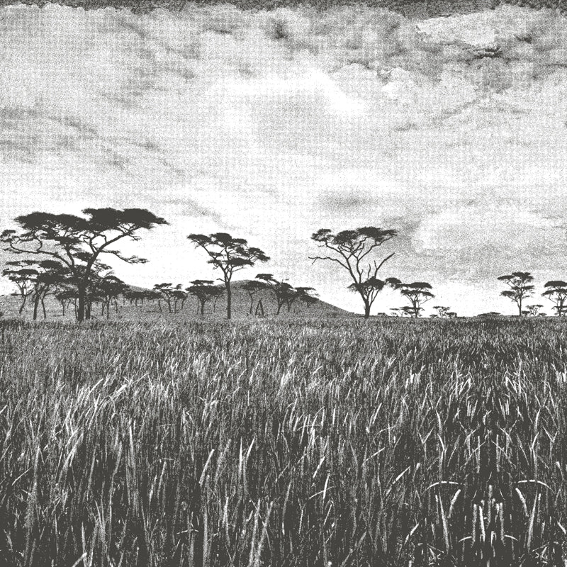 Veld-charcoal.jpg