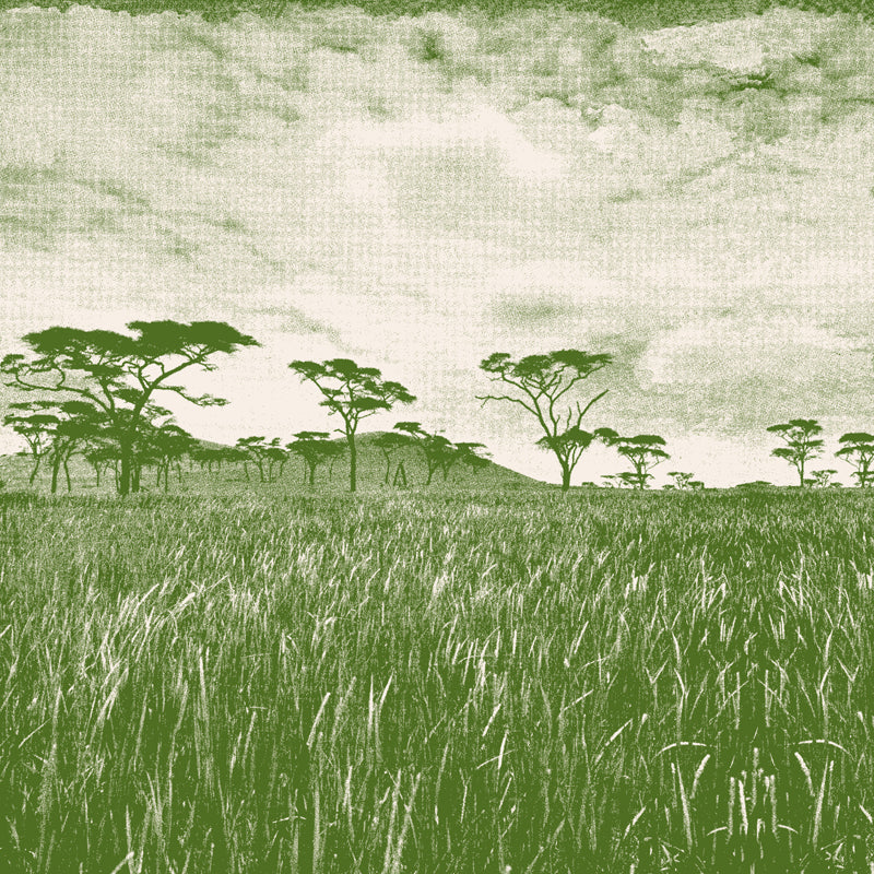 Veld-olive.jpg