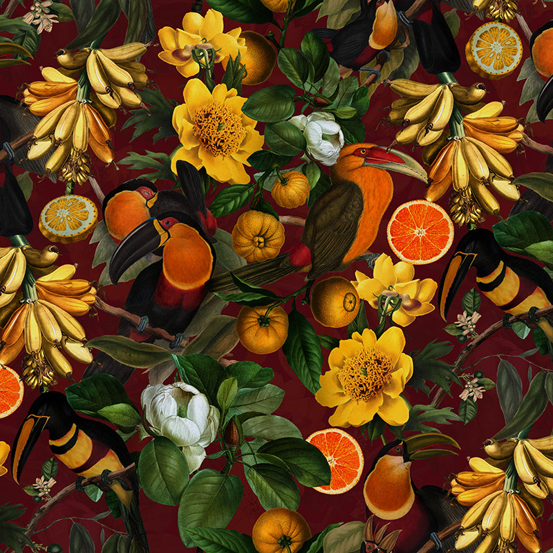 Vintage Toucans and Tropical Fruits Wine wallpaper