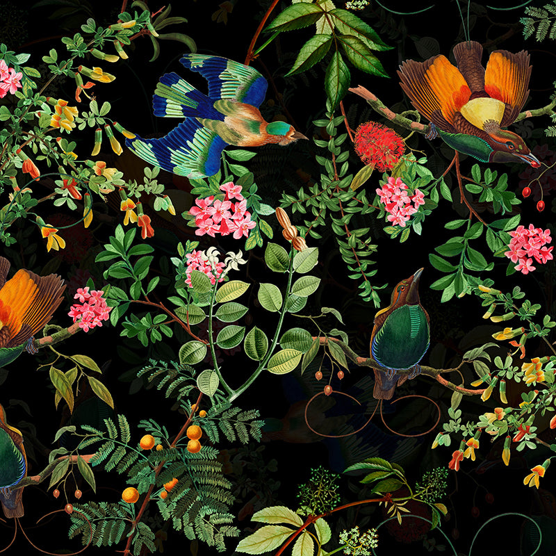 Vintage Tropical Birds Jungle Black wallpaper