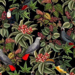 Vintage Parrots and Toucan Jungle Black wallpaper