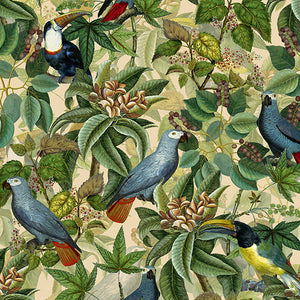 Vintage Parrots and Toucan Jungle Green wallpaper