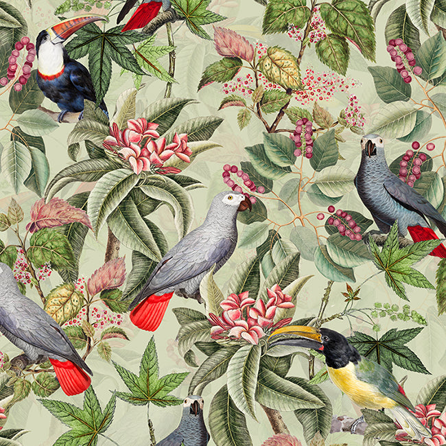 Vintage Parrots and Toucan Jungle Mint wallpaper