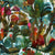Waterbirds-by-Este-MacLeod.webp