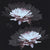 White-Lily-_800x800_461fc641-95e6-46ff-b117-cf95fa526cd6.jpg
