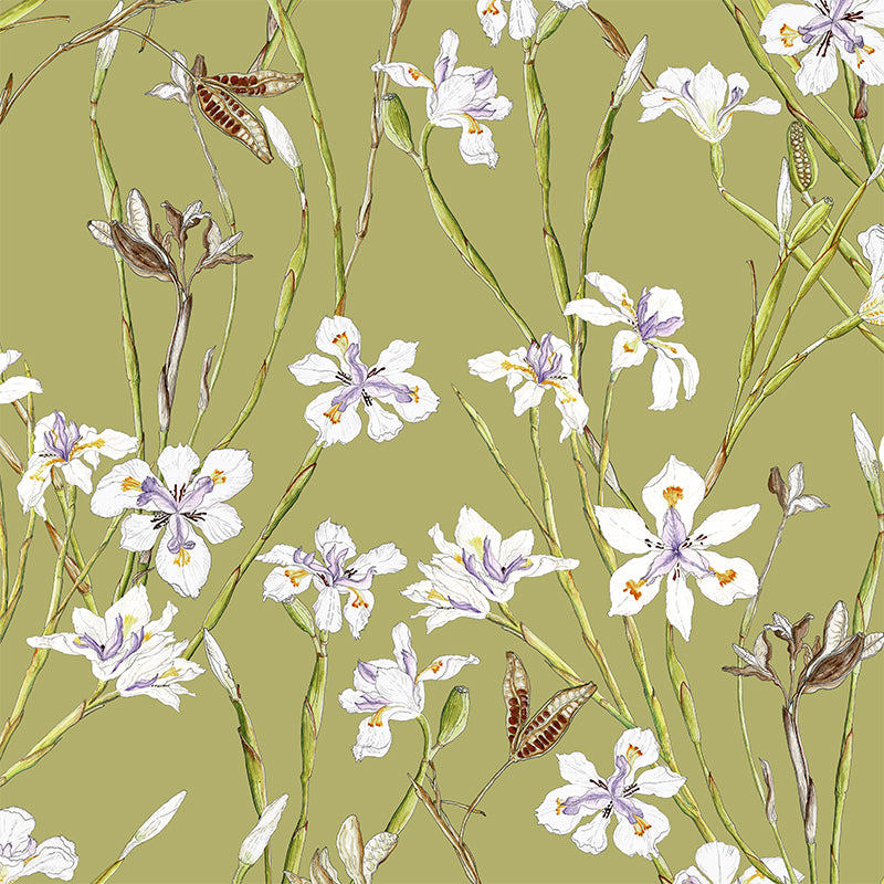 Wild Dietes Irises wallpaper