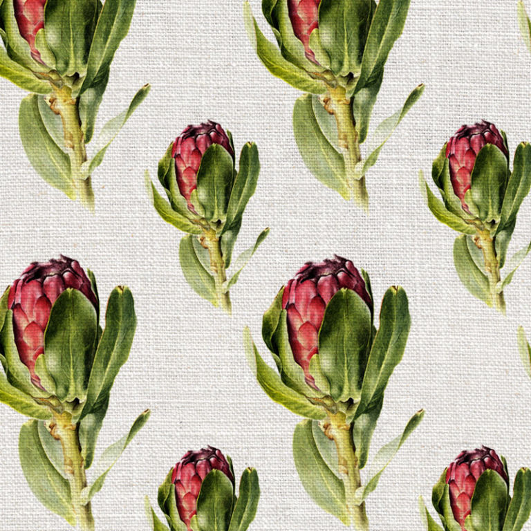 Willie_Shclechter_Protea_Grandiceps_Colour-768x768.jpg