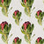 Willie_Shclechter_Protea_Grandiceps_Colour-768x768.jpg