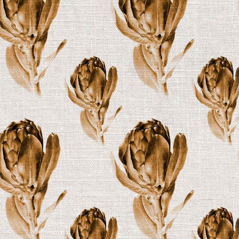 Willie_Shclechter_Protea_Grandiceps_Sepia-768x768.jpg