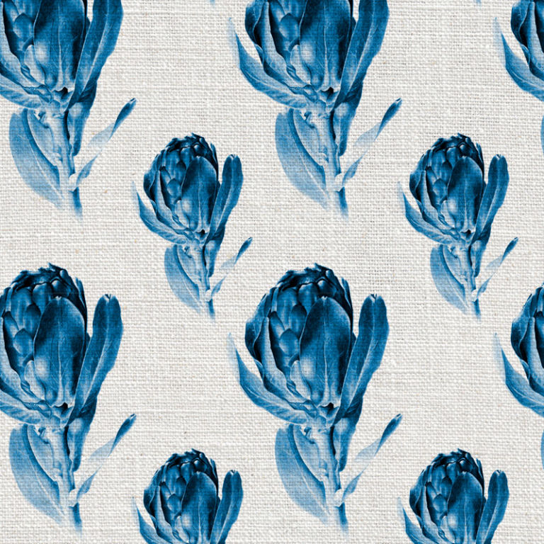 Willie_Shclechter_Protea_Grandiceps_blue_-768x768.jpg