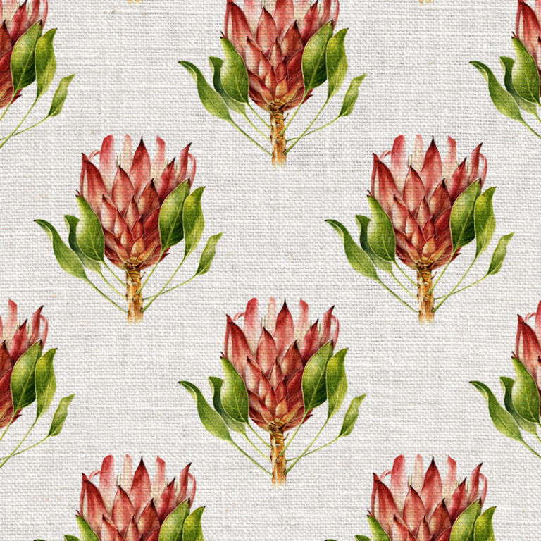 Willie_Shclechter_Protea_King_Colour-768x768.jpg