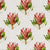 Willie_Shclechter_Protea_King_Colour-768x768.jpg