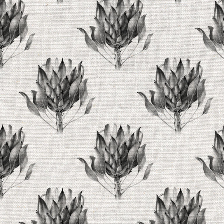 Willie_Shclechter_Protea_King_Grey-768x768.jpg