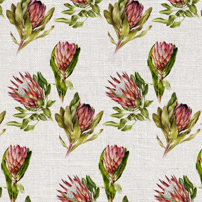Willie_Shclechter_Protea_Mix_Colour-768x768.jpg