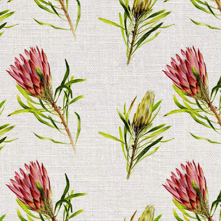 Willie_Shclechter_Protea_Reopens_Colour-1-768x768.jpg