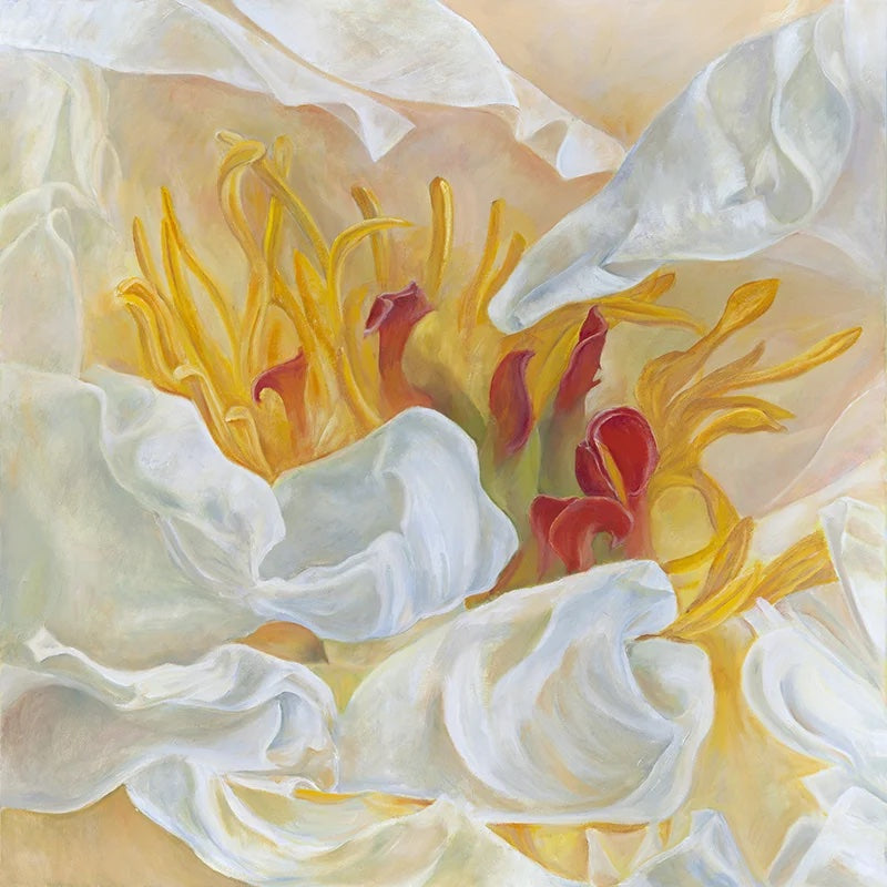 Yellow and White Peony Wallpaper