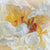 Yellow and White Peony Wallpaper