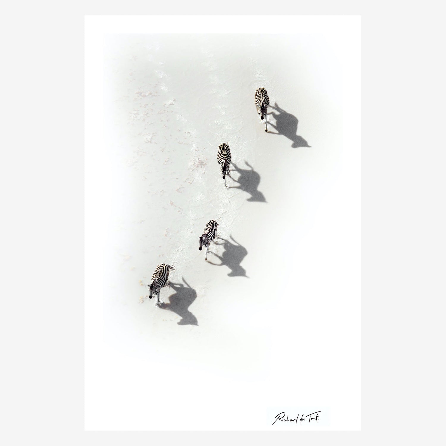 Zebra_20aerial.jpg