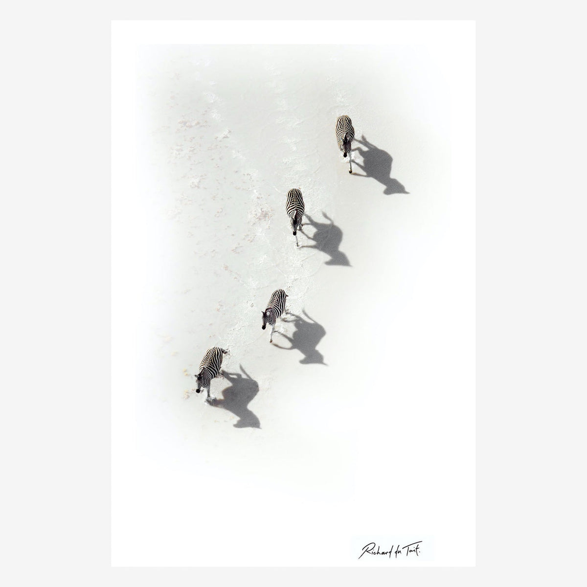 Zebra_20aerial.jpg