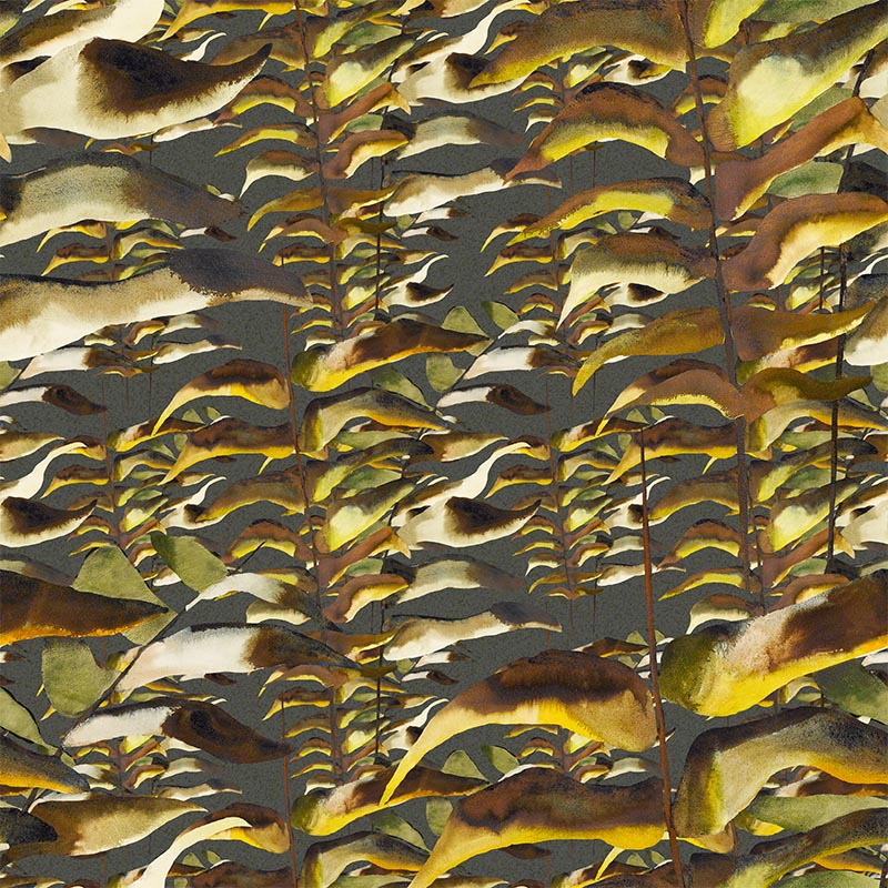 black.22A.thousand.ferns22_800x800_218e8044-85f3-4d0b-8b97-89c1ce3e10c0.jpg